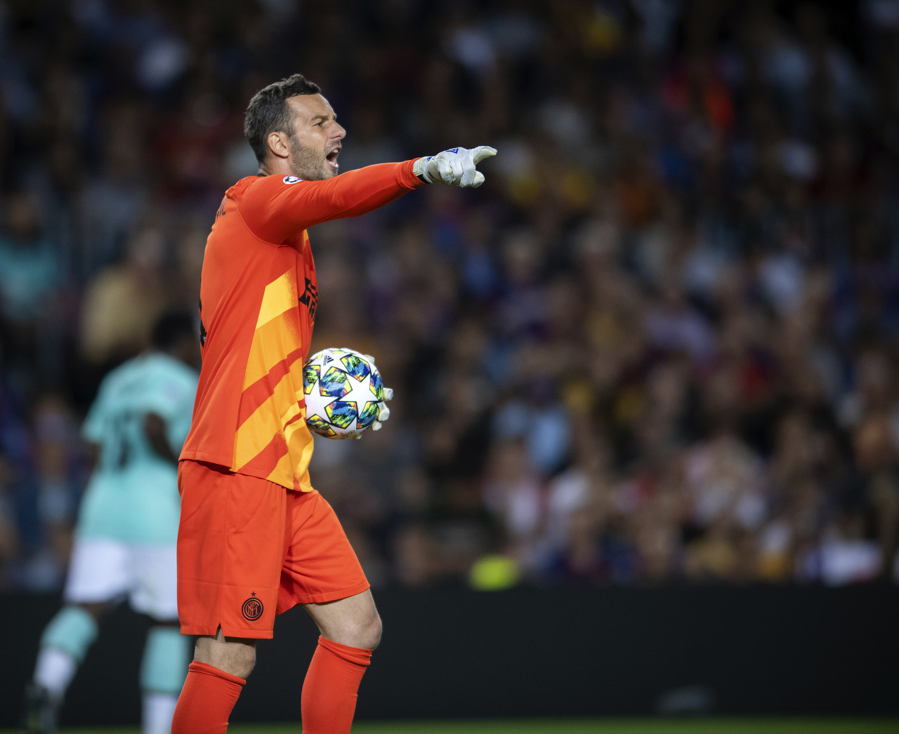 真正的尊重 真正的尊重